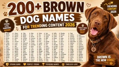 200+ Brown Dog Names for Trending Content 2026